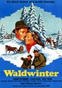 Picture of WALDWINTER  (1956)