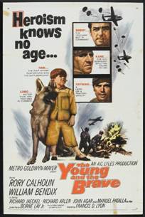 https://www.rarefilmsandmore.com/Media/Thumbs/0015/0015713-the-young-and-the-brave-1963.jpg