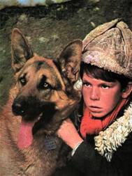 https://www.rarefilmsandmore.com/Media/Thumbs/0018/0018636-the-lone-wolf-vok-samotnjak-1972-with-switchable-english-subtitles-.jpg