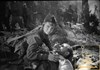 Picture of DIE LEBENDEN UND DIE TOTEN  (Zhivye i myortvye) (The Living and the Dead) (1964) 