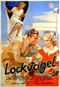 Bild von LOCKVOGEL  (1934)