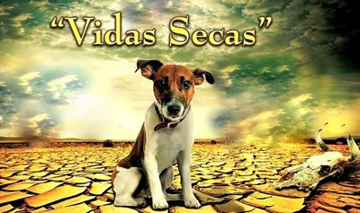 Picture of VIDAS SECAS  (1963) * with switchable Spanish and English subtitles *