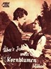 Picture of JUGENDLIEBE (Die Vroni vom Bergbauernhof) (Über's Jahr, wenn die Kornblumen blühen) (1944)