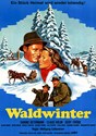 Bild von WALDWINTER  (1956)