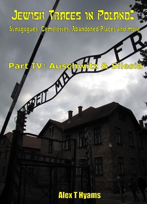 Bild von JEWISH TRACES IN POLAND - PART FOUR: AUSCHWITZ & SILESIA  (2019)