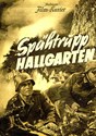 Bild von SPÄHTRUPP HALLGARTEN  (1941)