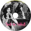 Picture of SPUK IM SCHLOß  (1945)