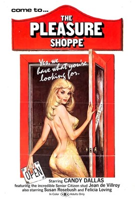Picture of THE PLEASURE SHOPPE  (1976)