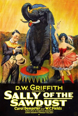 Picture of TWO FILM DVD:  SALLY OF THE SAWDUST  (1925)  +  ALADDIN AND THE WONDERFUL LAMP  (1917)