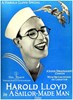 Bild von TWO FILM DVD:  THE WOMAN DISPUTED  (1928)  +  A SAILOR MADE MAN  (1921)