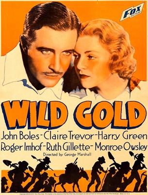 Bild von TWO FILM DVD:  WILD GOLD  (1934)  +  TANNED LEGS  (1929)