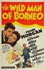 Bild von TWO FILM DVD:  GOLDEN HOOFS  (1941)  +  THE WILD MAN OF BORNEO  (1941)