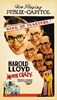 Bild von TWO FILM DVD:  MOVIE CRAZY  (1932)  +  MEET THE WILDCAT  (1940)