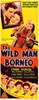 Bild von TWO FILM DVD:  GOLDEN HOOFS  (1941)  +  THE WILD MAN OF BORNEO  (1941)