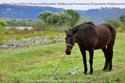 Picture of A PHOTO TOUR OF SHTETL UKRAINE and BESSARABIA: MOLDOVA, TRANSDNIESTER (Transnistria; Pridniestrovie)