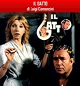 Bild von IL GATTO  (The Cat)  (1977)  * with switchable English subtitles *