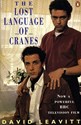 Picture of THE LOST LANGUAGE OF CRANES  (1991)  * with switchable English subtitles *