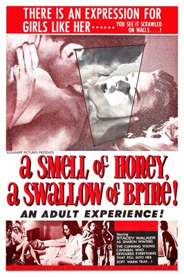 Picture of TWO FILM DVD:  A SMELL OF HONEY, A SWALLOW OF BRINE  (1966)  +  I NEED A RIDE TO CALIFORNIA  (1968)