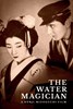 Picture of THE WATER MAGICIAN  (Taki no shiraito)  (1933)  * with switchable English and Spanish subtitles *