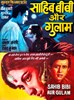 Bild von SAHIB BIBI AUR GHULAM (1962) * with switchable English subtitles *