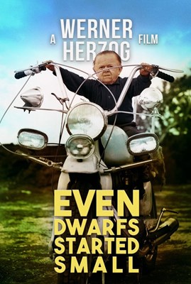 Picture of EVEN DWARFS STARTED SMALL  (Auch Zwerge haben klein angefangen)  (1970)  * with switchable English and Spanish subtitles *