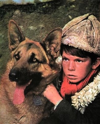 Picture of THE LONE WOLF  (Vok Samotnjak)  (1972)  * with switchable English subtitles *