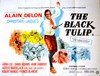 Picture of LA TULIPE NOIRE (The Black Tulip) (1964)  * German/French Audio with switchable English subtitles *