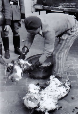 dasjahrhundertkrieg1-large.jpg