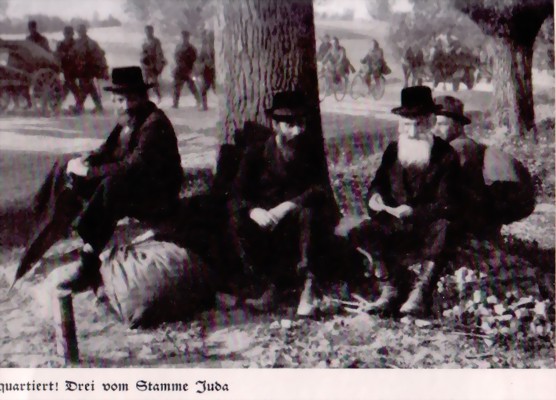 wirzogengegenpolen1-large.jpg