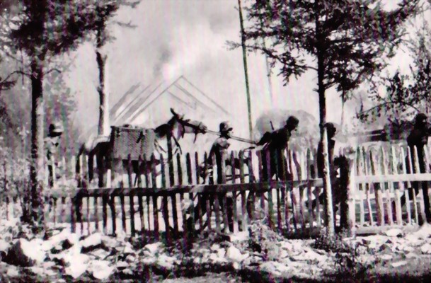 wirzogengegenpolen2-large.jpg