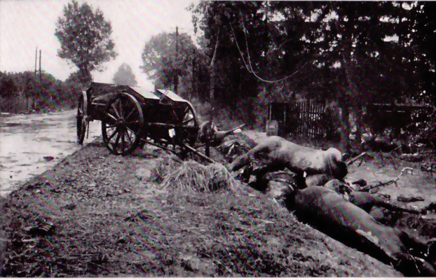 wirzogengegenpolen7-large.jpg